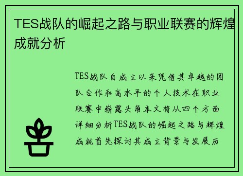 TES战队的崛起之路与职业联赛的辉煌成就分析